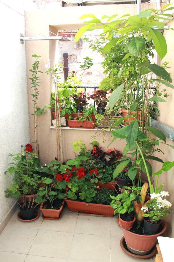 Apartment Bucevic Sibenik Luaran gambar